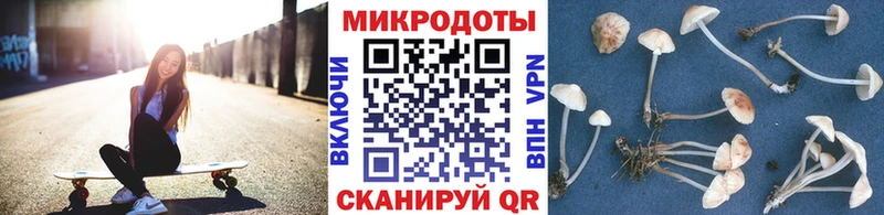 Галлюциногенные грибы Cubensis  блэк спрут маркетплейс  Кандалакша 