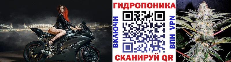 Бошки марихуана планчик  Кандалакша 